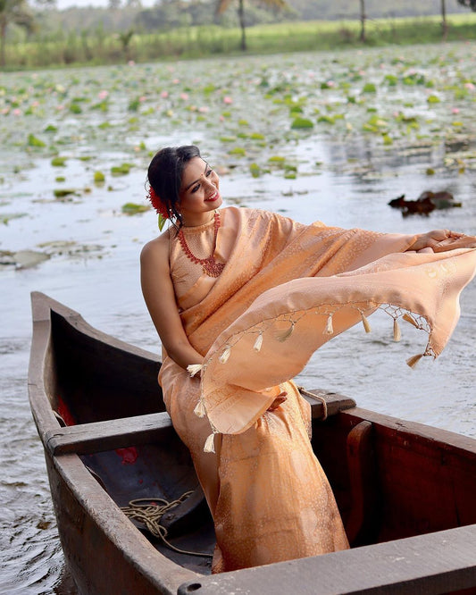 Phenomenal Light Orange Soft Banarasi Silk Saree with Blouse Piece